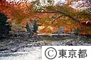 御岳渓谷の紅葉