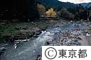御岳渓谷の紅葉