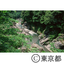 新緑の鳩ノ巣渓谷