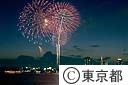 東京湾大華火祭