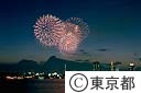 東京湾大華火祭