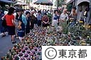 お富士さん（植木市）