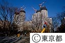 建設進む新都庁舎　新宿中央公園から望む