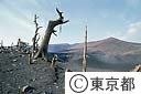 三宅島が１０月３日大噴火をした。新澪池付近
