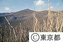 三宅島が１０月３日大噴火