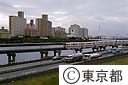 モノレールと八潮団地