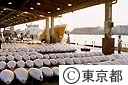 中央卸売市場のマグロ水揚げ