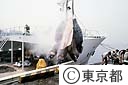中央卸売市場のマグロ水揚げ