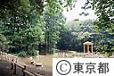 林試の森公園