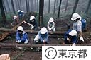 奥多摩都民の森
