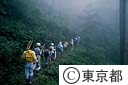 奥多摩都民の森　