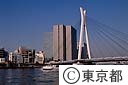 完成間近の中央大橋と河川視察船「すみだがわ」