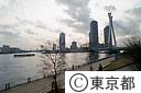 大川端のテラス堤防