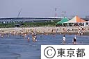葛西海浜公園の人工なぎさ