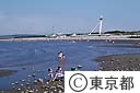 葛西海浜公園の人工なぎさで潮干狩りする人