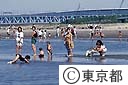 葛西臨海公園の人工なぎさで遊ぶ親子連れ