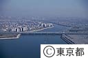 江戸川河口