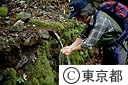山の水を飲む