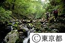 渓谷を見ながら大ダワ林道を行く