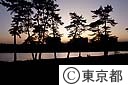 多摩川五本松の夕景