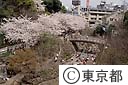音無親水公園