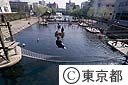 横十間川親水公園