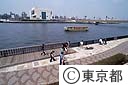 隅田川テラス堤防