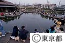 あらかわ遊園（つりぼり）