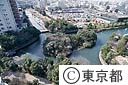 横十間川　野鳥の島