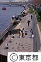 隅田川親水テラス