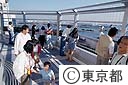 レインボーブリッジ遊歩道