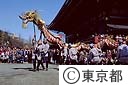 金龍の舞