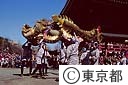 金龍の舞