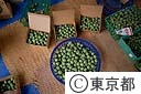選別された青梅