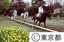 馬事公苑