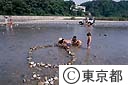 秋川での子供の水遊び（東秋川橋付近）