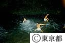 小沢の式三番