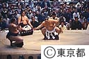 大相撲東京場所