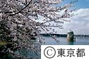 多摩湖