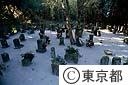 流人墓地