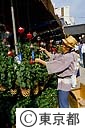 浅草寺（ほおずき市）