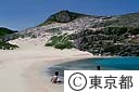 南島と海水浴をする人