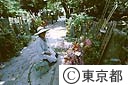 墓参りで花を飾る島民