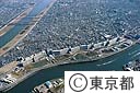 白鬚防災地区（空撮）