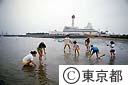 お台場１３号地