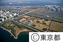 大井埠頭中央海浜公園（空撮）