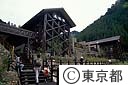 都民の森の森林館