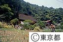 ヒワダぶきの農家と畑を耕す人