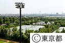 有明テニスの森公園
