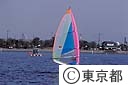 ウインドサーフィンをする人